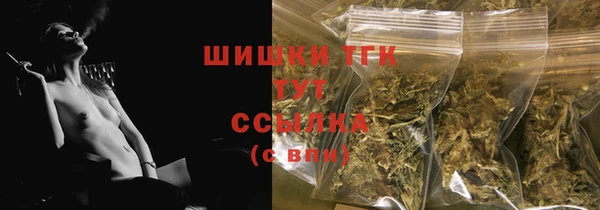 шишки Белоозёрский