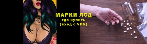 шишки Балабаново