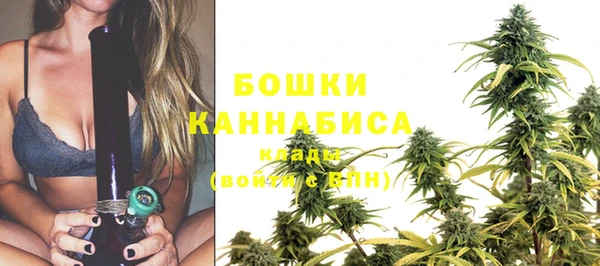 шишки Балабаново